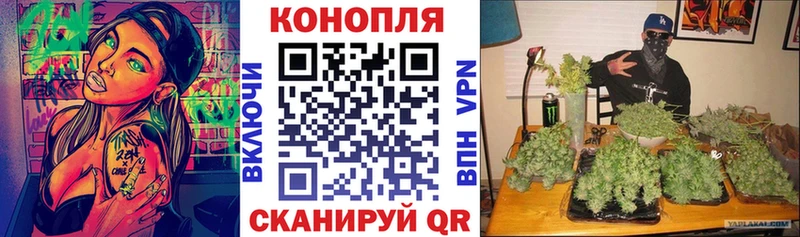 Как найти закладки Можга A-PVP  ГАШИШ  Марихуана  АМФЕТАМИН  Кокаин 