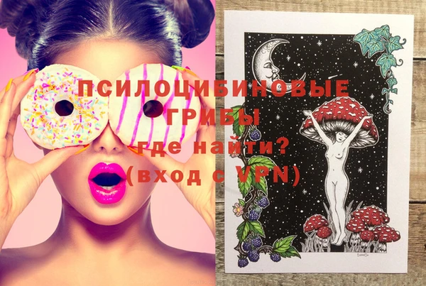 стафф Алзамай