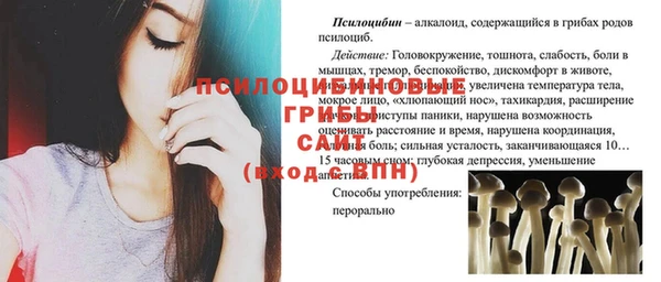 стафф Алзамай