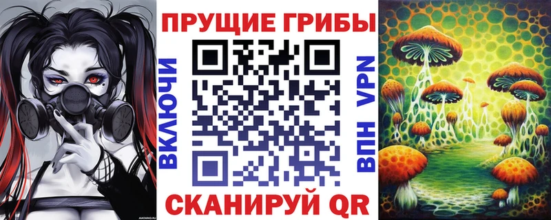 hydra ССЫЛКА Можга Псилоцибиновые грибы Cubensis